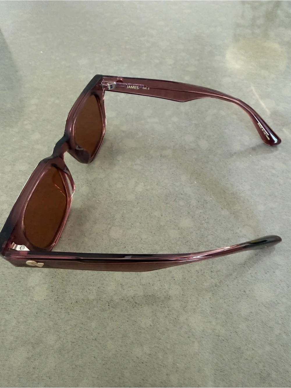 Clare V James Classic Unisex Sunglasses in Plummy